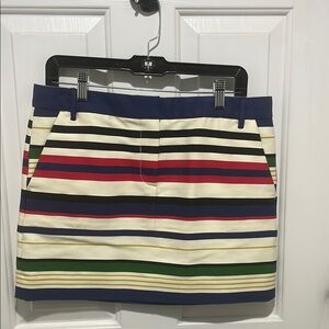 Striped Multicolor Women's Skirt